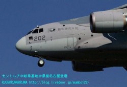 日本亚洲国产,亚洲国度的文化瑰宝与经济引擎