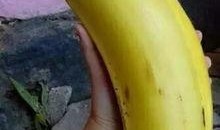 国产情侣大香蕉