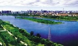 国产自区,崛起中的创新高地