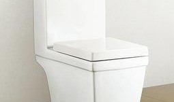 国产厕所视频,揭秘智能与环保的完美融合