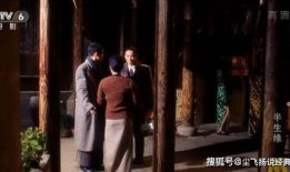 国产乱人在线观看,揭秘网络迷雾中的视觉盛宴