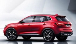 国产1级,引领科技潮流，铸就民族品牌辉煌