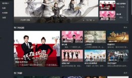 国产TV毛片,揭秘影视行业背后的隐秘角落