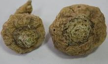 特黄国产,探寻神秘东方古国的传奇与魅力