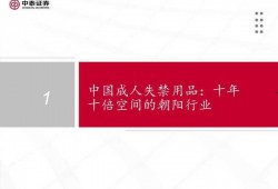 国产37页,深度解析我国科技发展的新篇章