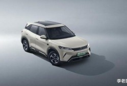 国产A级毛,匠心独运，引领时尚潮流